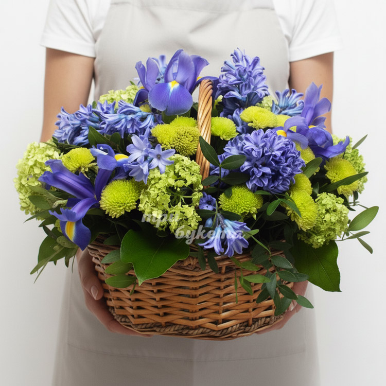Корзина с гиацинтами и ирисами