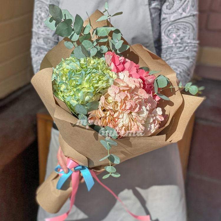 Букет из 3 разноцветных гортензий (букет в руках)