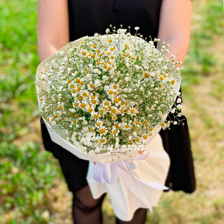 Белый букет из ромашек и гипсофилы (крупный план)