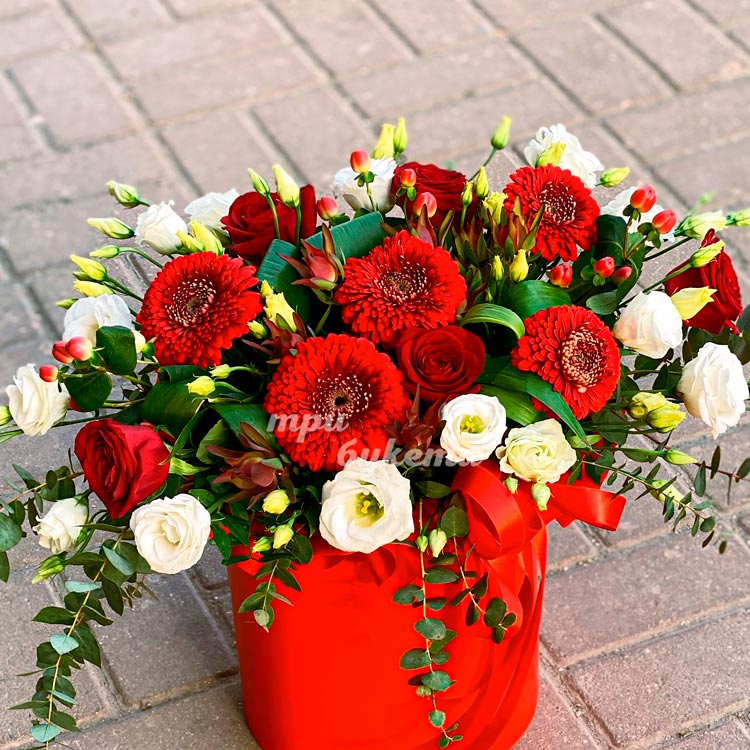 Коробка красных гербер и белых эустом (крупный план)