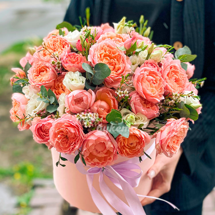 Персиковые пионовидные розы в коробке (крупный план)