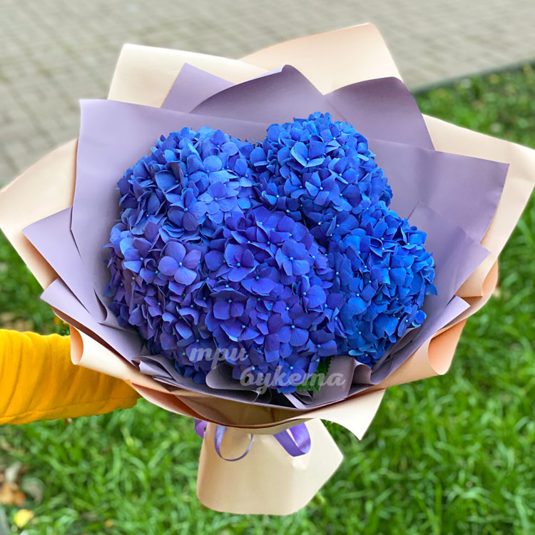 Букет из 5 синих гортензий (крупный план)
