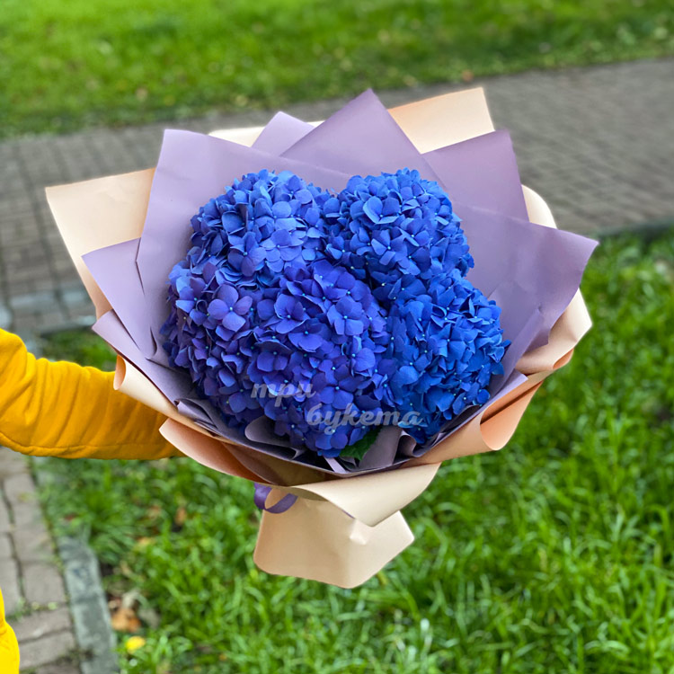 Букет из 5 синих гортензий