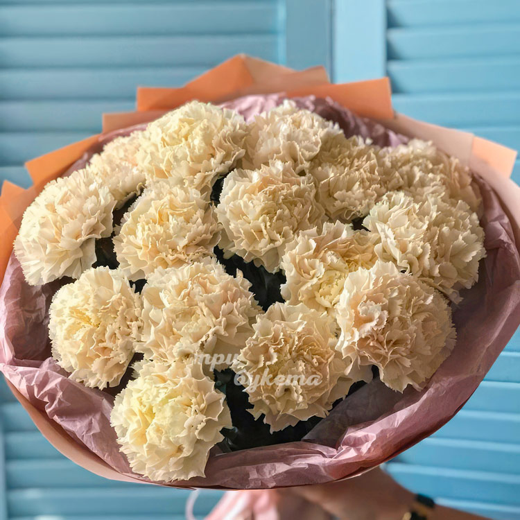 Букет из 15 белых диантусов (крупный план)