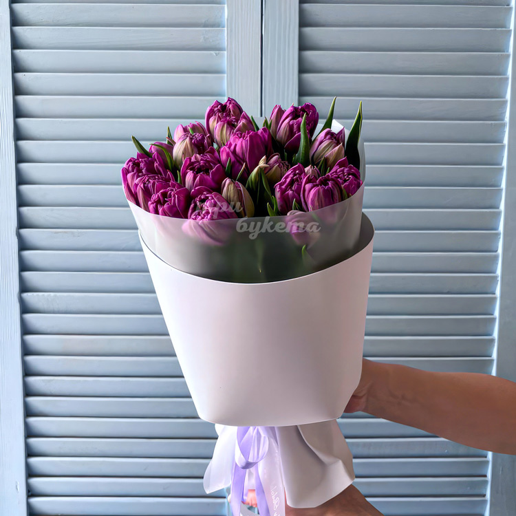 Букет 15 пионовидных сиреневых тюльпанов (в руках флориста)