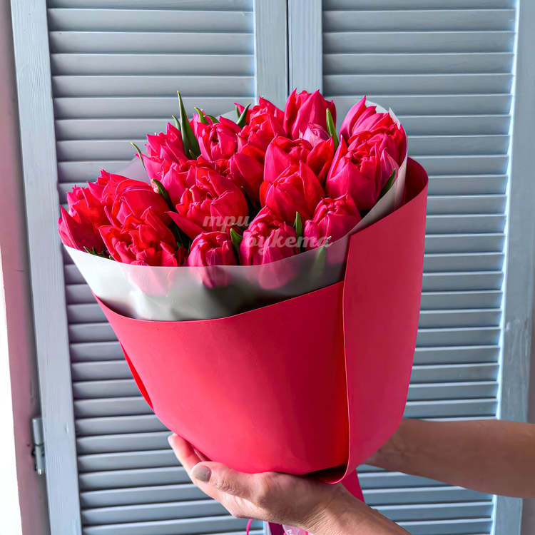 Букет 25 пионовидных тюльпанов цвета Фуксия (в руках флориста)