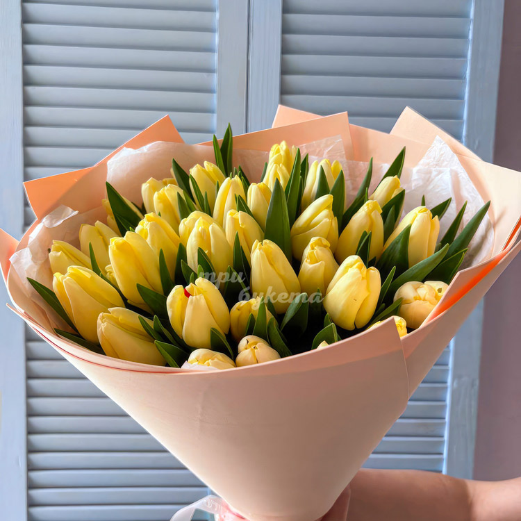 Букет 35 классических желтых тюльпанов (крупный план)