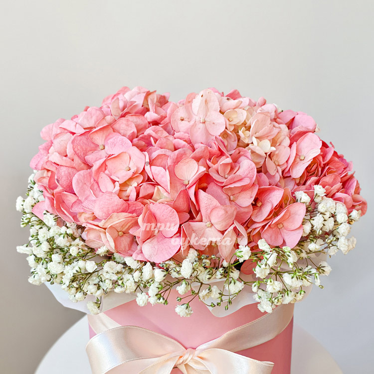 Коралловая гортензия с гипсофилой в коробке (крупный план)