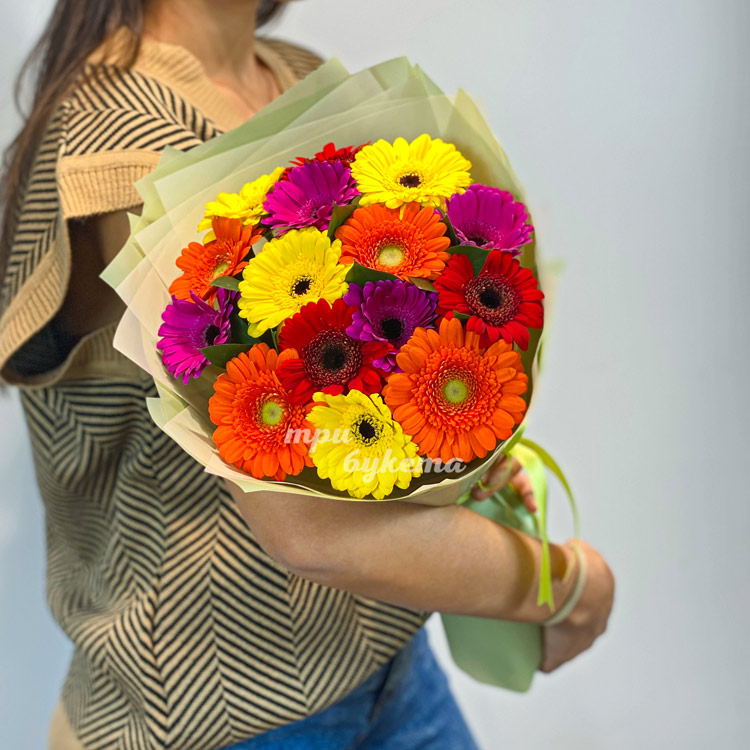 Яркий букет из 15 разноцветных гербер (в руках флориста)