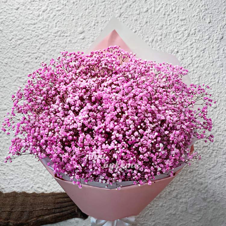 Яркий букет из розовой гипсофилы (крупный план)