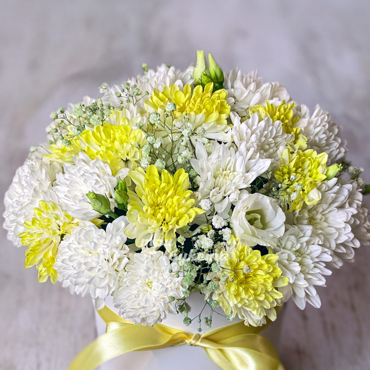 Шляпная коробка белых и желтых хризантем (крупный план)