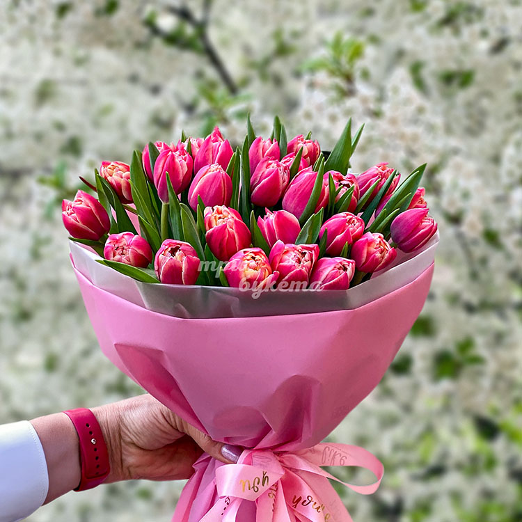 Букет из 33 ярких розовых тюльпанов (крупный план)